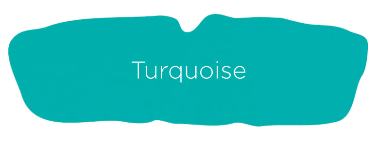 Turquoise-Sports-Guard Turquoise-Sports-Guard